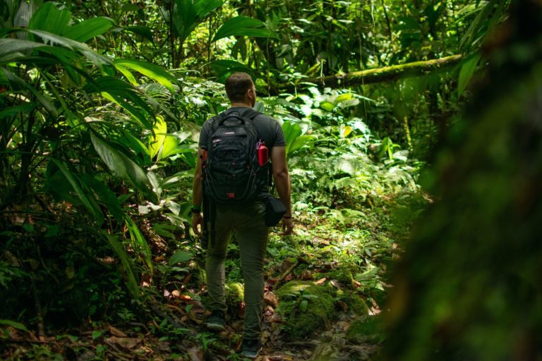 Why Ecotourism Matters