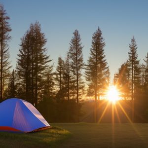 Green Camping