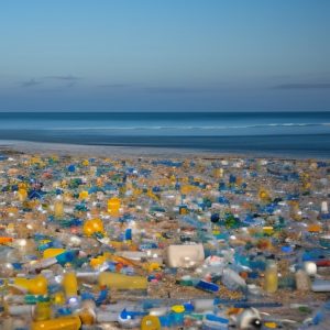 plastic waste in the ocean
