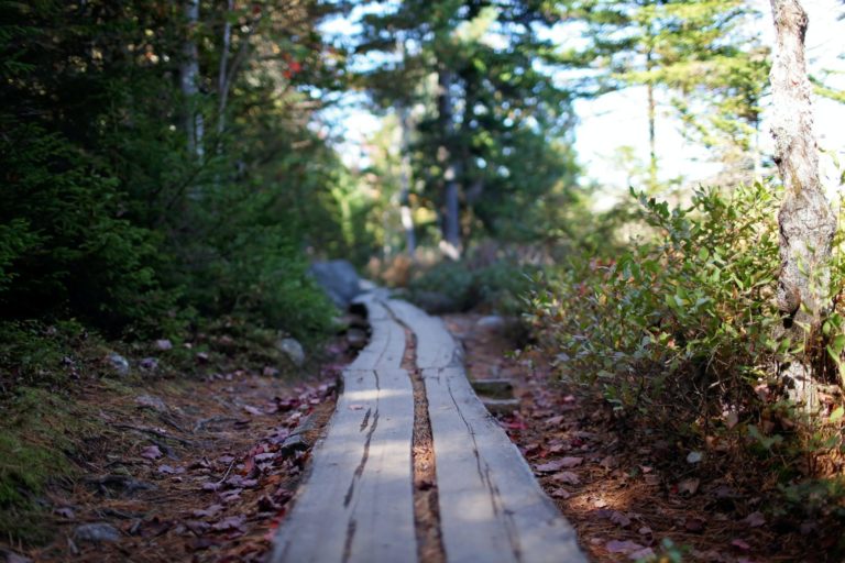 10 Ecotourism Destinations during the Fall Season