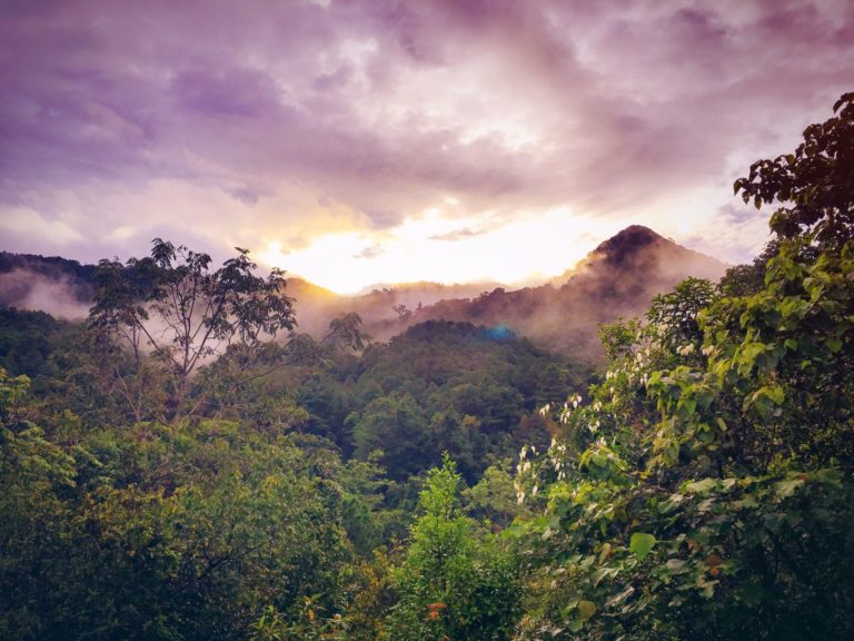 The 10 Best Ecotourism Destinations in the Amazon