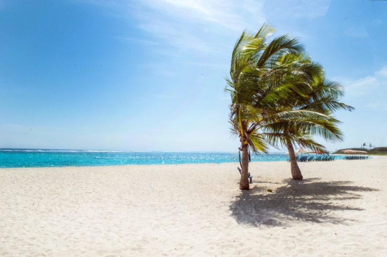 The 10 Best Ecotourism Beaches in the World
