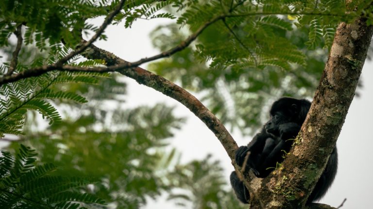 Ecotourism in Costa Rica