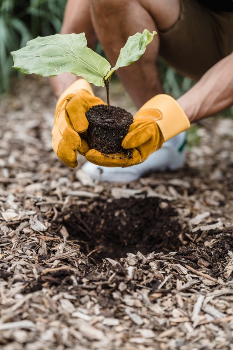 Make a Difference with Sustainable Travel: Volunteering Opportunities You Don’t Want to Miss