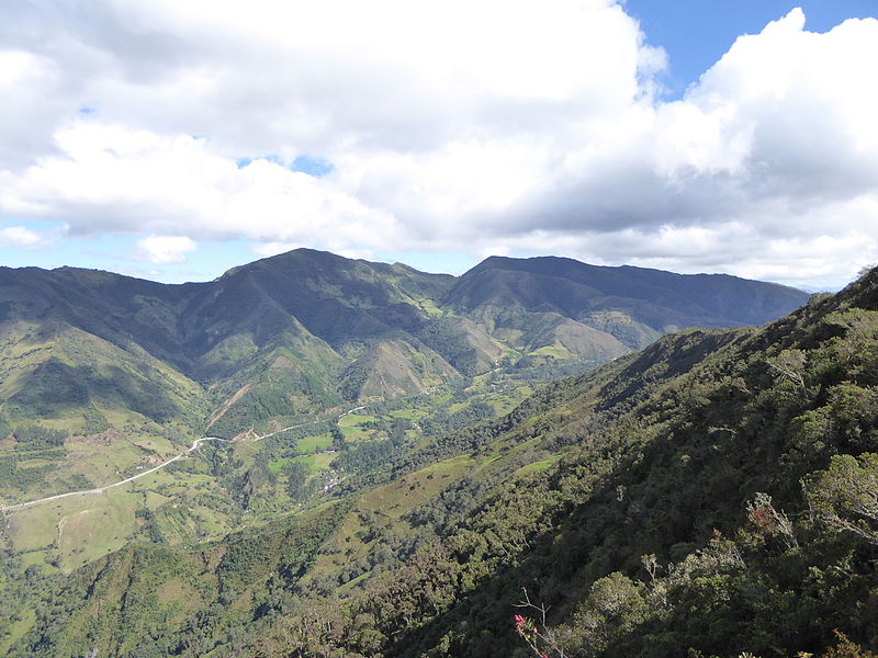 Podocarpus National Park