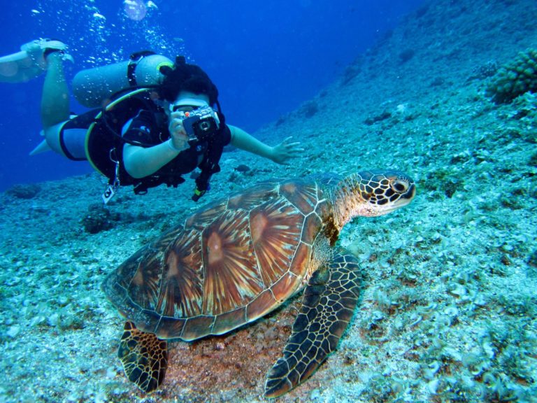 The 10 Best Ecotourism Destinations for Scuba Diving 2023