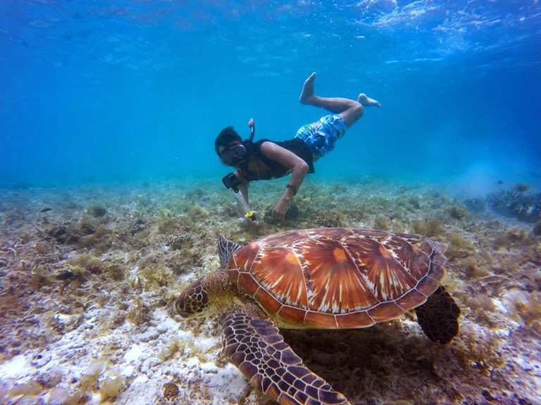 Exploring the Best Sustainable Water Activities