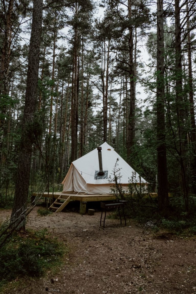 Ecotourism: The Future of Sustainable Travel